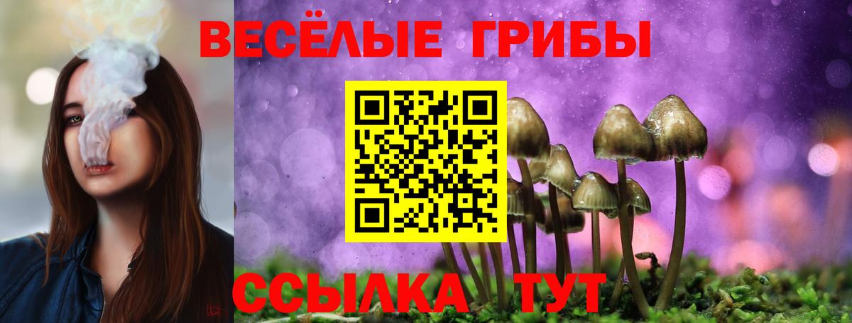Псилоцибиновые грибы MAGIC MUSHROOMS Гатчина